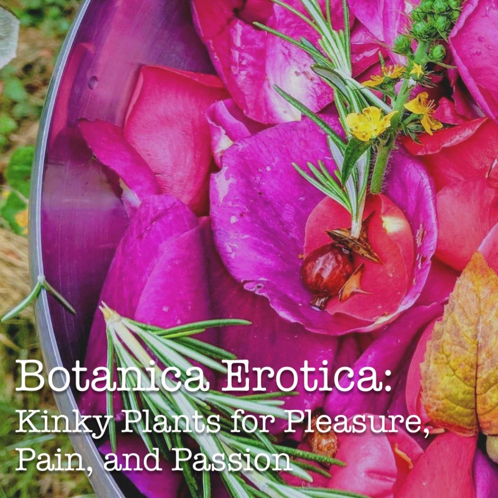 Erotica Botanica