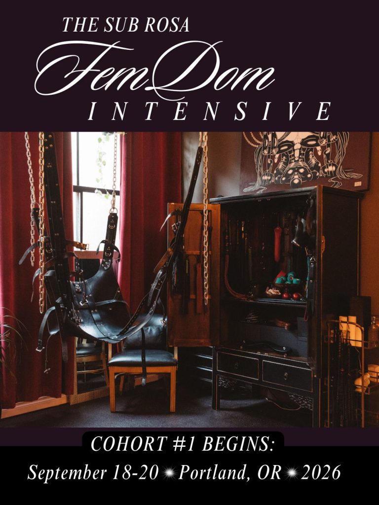 The Sub Rosa FemDom Intensive, cohort #1 begins September 18-20, 2026 Portland OR. Image of Sub Rosa's hanging leather sling and an open cabinet of toys and gear